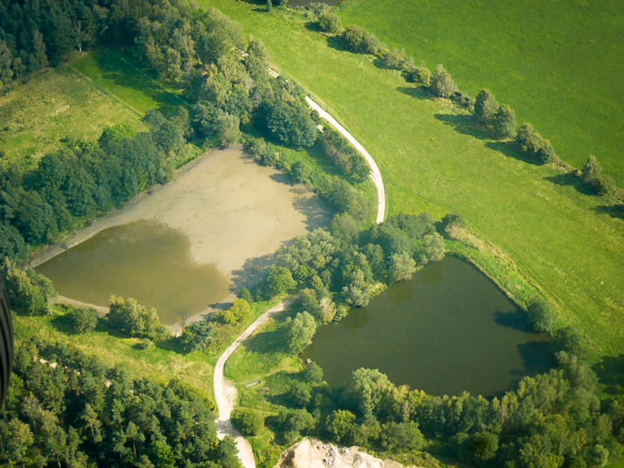 Ilmenauer Teichgebiet Karpfen Fischzucht Beauty Carps