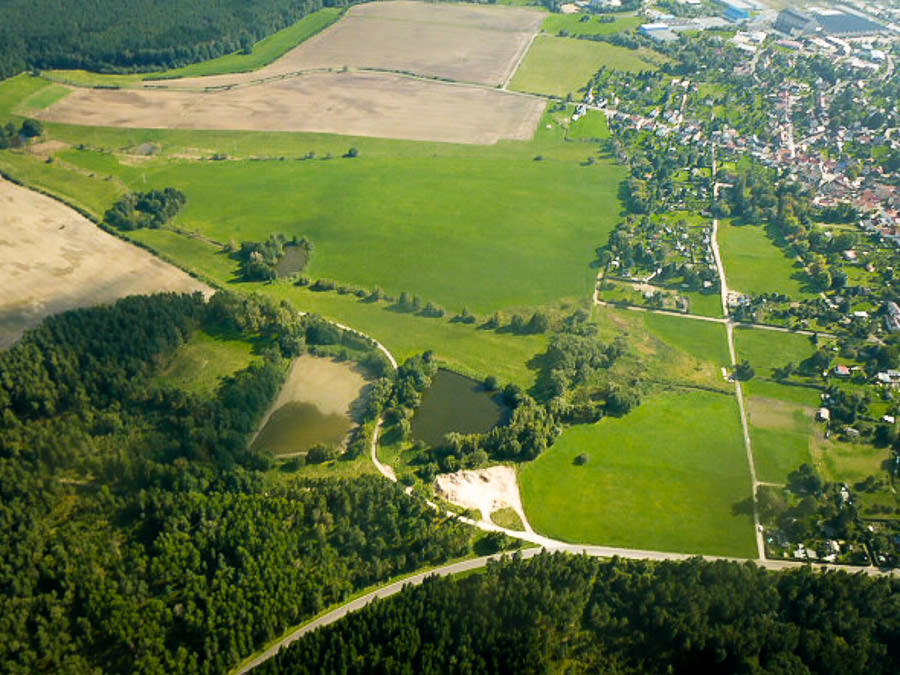 Ilmenauer Teichgebiet Karpfen Fischzucht Beauty Carps