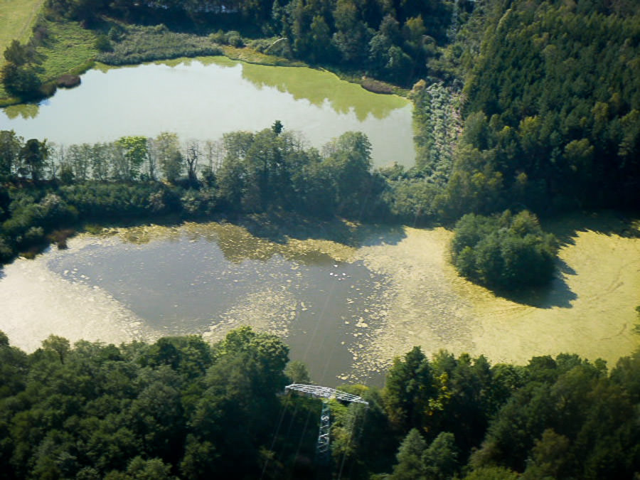 Pennewitzer Teichgebiet Karpfen Fischzucht Beauty Carps