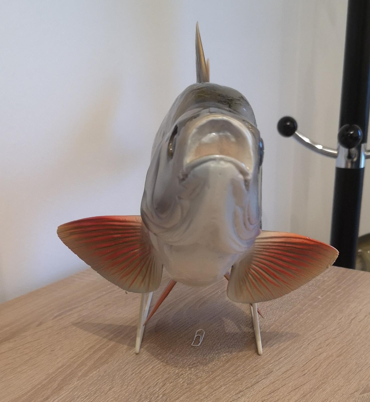 dekofische_rapfen_77cm_vorne