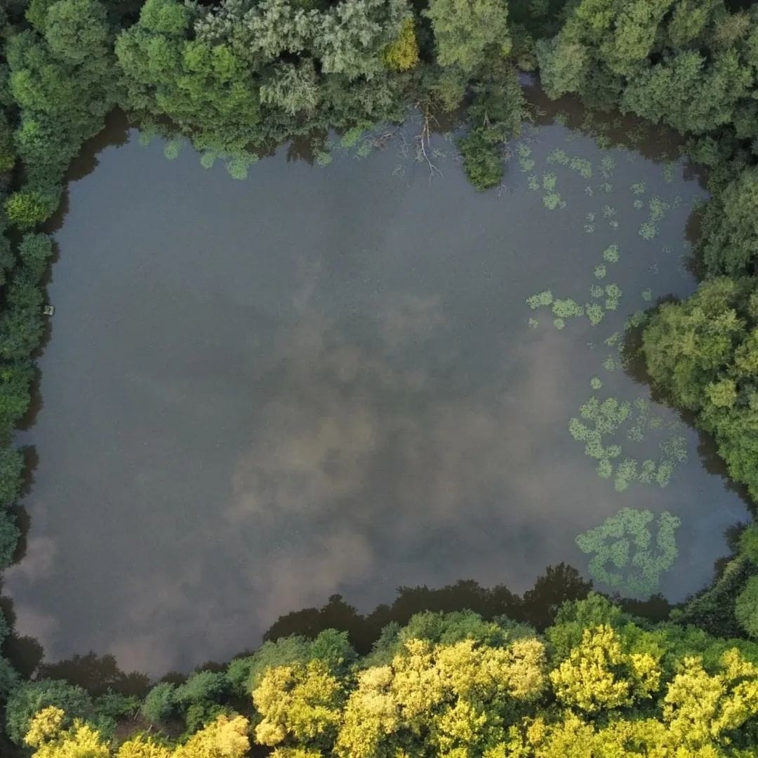 1962a185-800e-4125-aa91-a84995d4f3a3