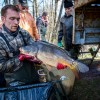 laichkarpfen_karpfenzucht_fischzucht_verkauf_005