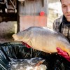 laichkarpfen_karpfenzucht_fischzucht_verkauf_007