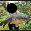 beauty-carps-wiederfaenge_karpfenzucht_005