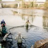 abfischungen_fischzucht_ilmenau_fische_umsetzen_023