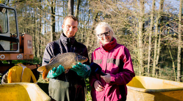 Fischzucht Beauty Carps