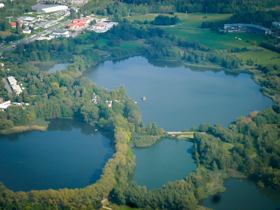 Ilmenauer Teichgebiet Karpfen Fischzucht Beauty Carps