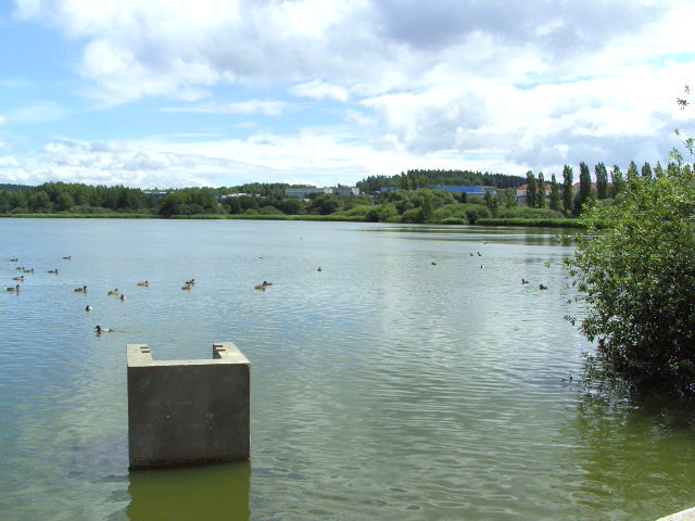 Ilmenauer Teichgebiet Karpfen Fischzucht Beauty Carps