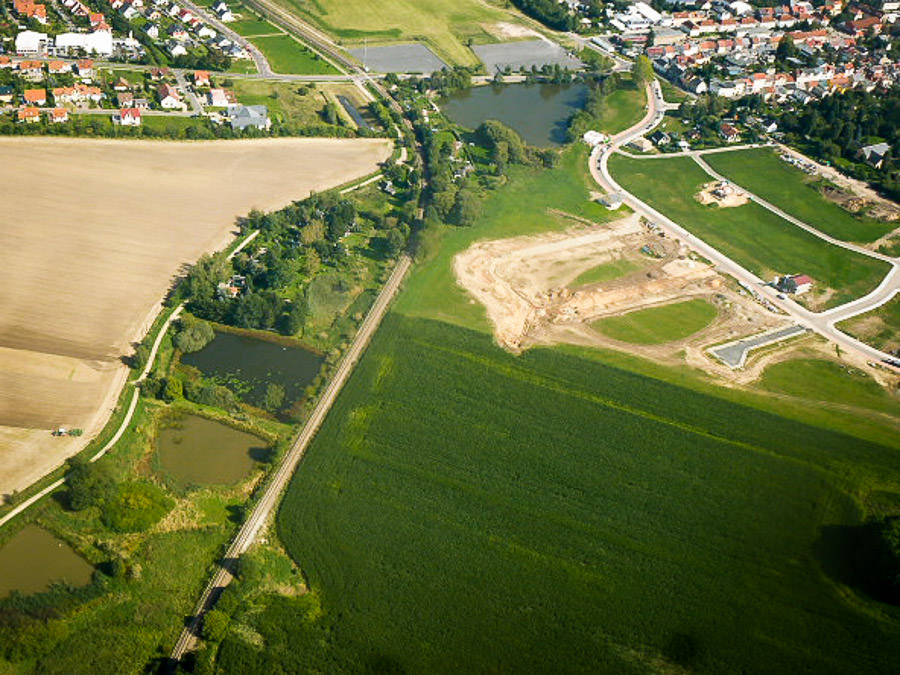 Ilmenauer Teichgebiet Karpfen Fischzucht Beauty Carps