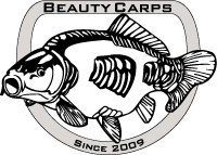 Beauty Carps Karpfen Angeln Züchten